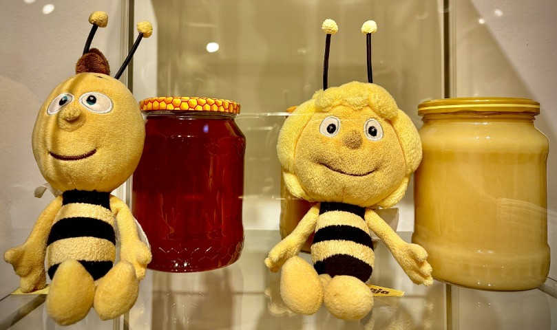 Medová výstava - 14 - images/2026/02/05/včelka mája (Malé).jpeg